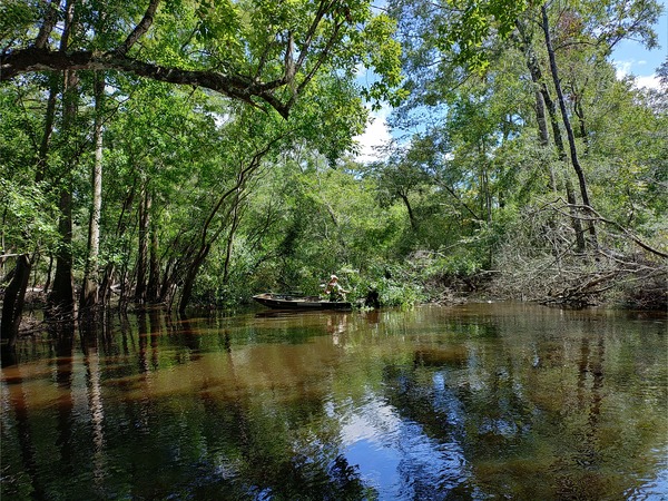 [jsq pulling debris from Above Sugar Creek Deadfall --Phil Royce, 15:29:28, 30.8647, -83.3211050]