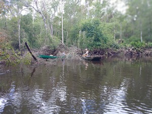 [Rope tow at Fae Deadfall --Phil Royce, 12:29:58, 30.87945, -83.3262]