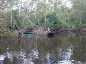 [Successful rope tow at Fae Deadfall --Phil Royce, 12:30:03, 30.87945, -83.3262]