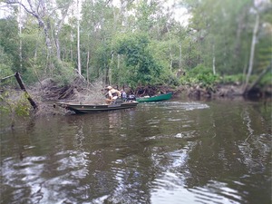 [Pulling debris aside at Fae Deadfall --Phil Royce, 12:30:57, 30.87945, -83.3262]