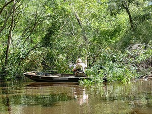 [Closeup jsq debris Above Sugar Creek Deadfall --Phil Royce, 15:29:34, 30.8647, -83.3211050]