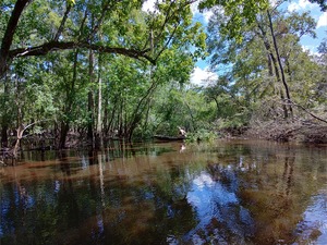 [Hauling debris, jsq, Above Sugar Creek Deadfall --Phil Royce, 15:29:44, 30.8647, -83.3211050]