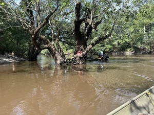 [Phil Royce behind the Little River Confluence signs --Quen Metzler, 2024-07-27, 10:44:21, 30.836143, -83.359444]