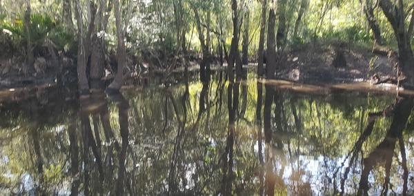 [Drain upstream from Langdale Park Boat Ramp, 10:24:25, 30.8895764, -83.3218722]