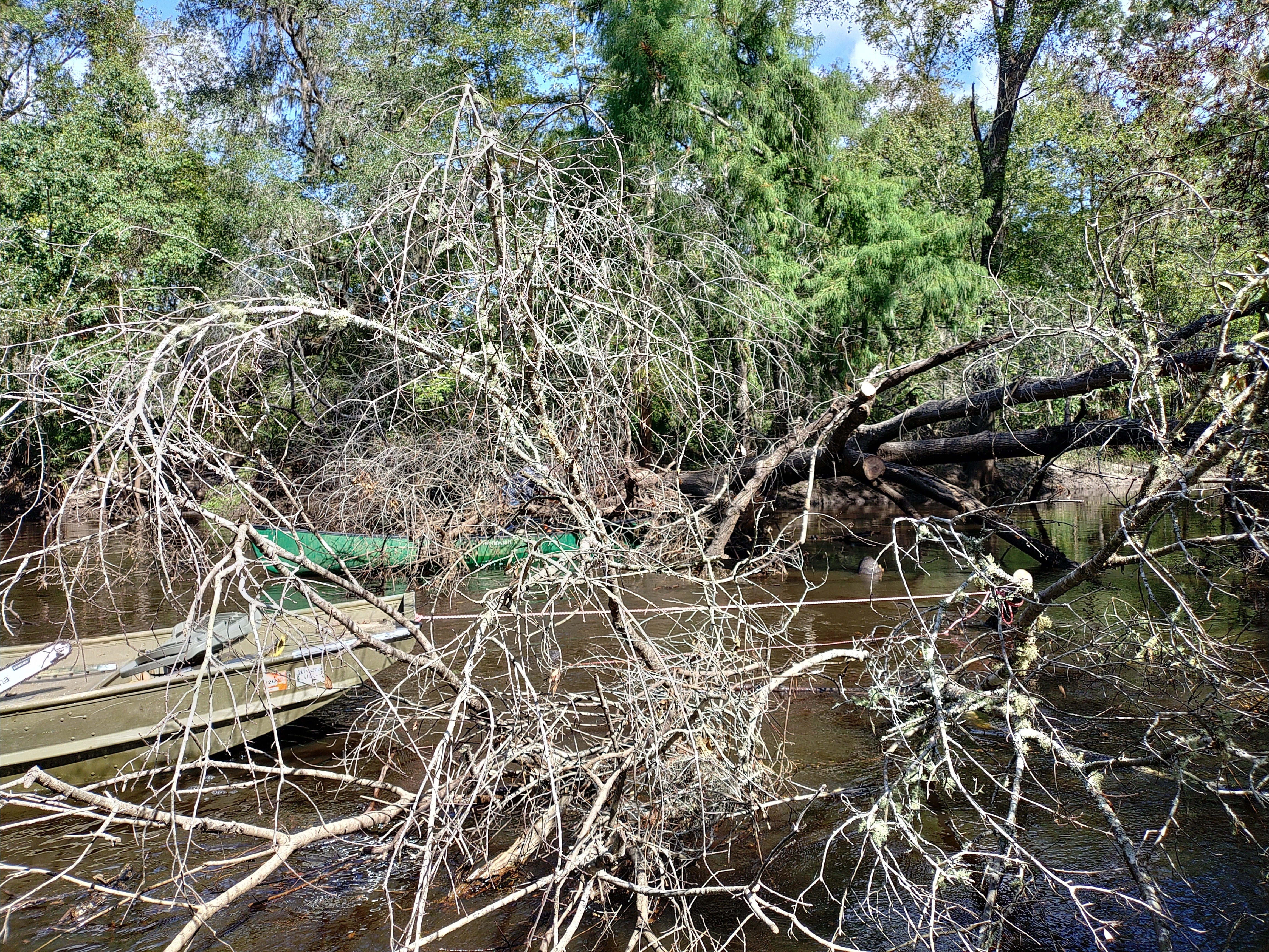 Rope on debris --Phil Royce, 10:40:56, 30.89038, -83.32129