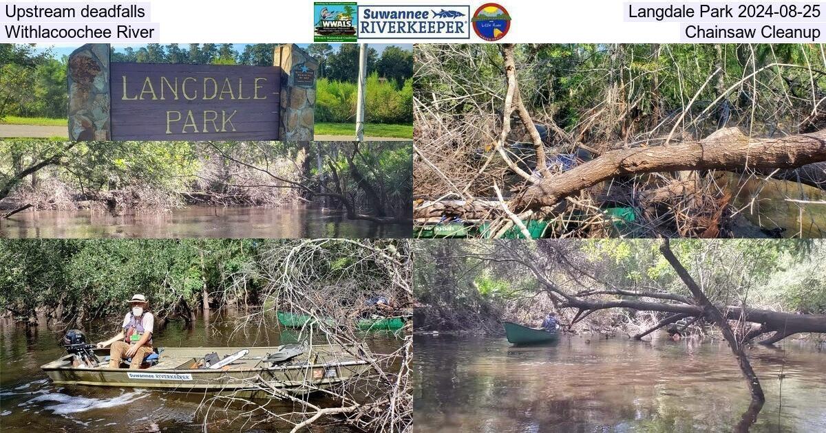 Upstream deadfalls, Langdale Park 2024-08-25, Withlacoochee River, Chainsaw Cleanup