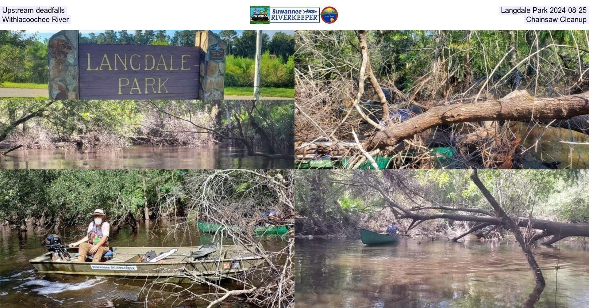 Upstream deadfalls, Langdale Park 2024-08-25, Withlacoochee River, Chainsaw Cleanup