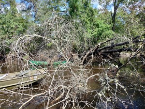 [Rope on debris --Phil Royce, 10:40:56, 30.89038, -83.32129]