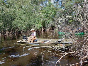 [Apparently the debris was still attached underwater --Phil Royce, 10:40:59, 30.89038, -83.32129]