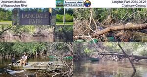 [Upstream deadfalls, Langdale Park 2024-08-25, Withlacoochee River, Chainsaw Cleanup]