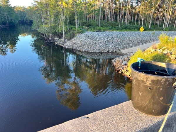 [Lakeland Boat Ramp, Alapaha River @ GA 122 2024-08-28]