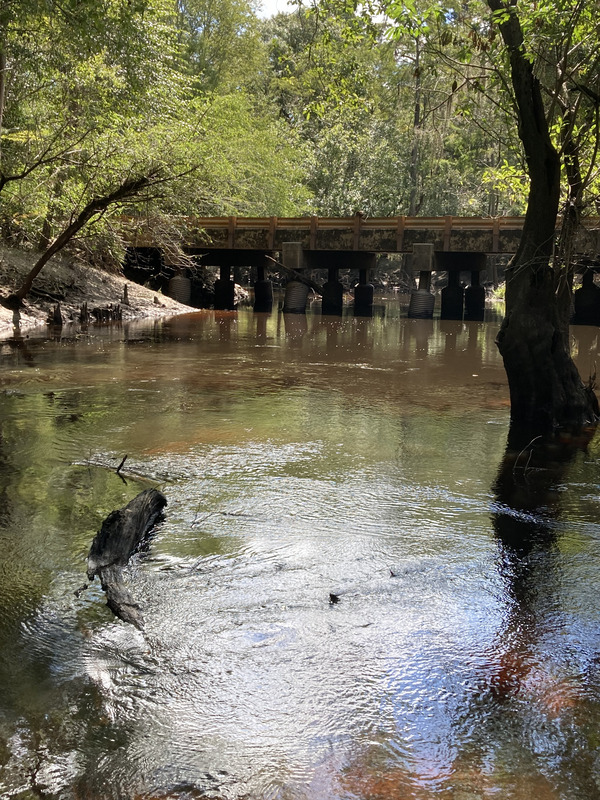 [Tyler Bridge, Franklinville, Withlacoochee River @ Frankinville Road 2024-08-29]