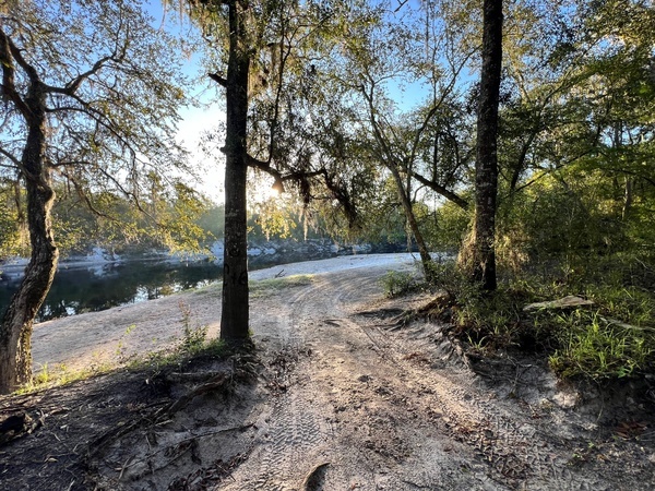 [Naylor Park Beach, Alapaha River @ US 84 2024-08-29]