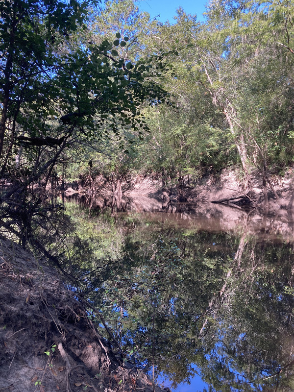 [Downstream, Staten Road, Withlacoochee River @ Staten Road 2024-08-29]