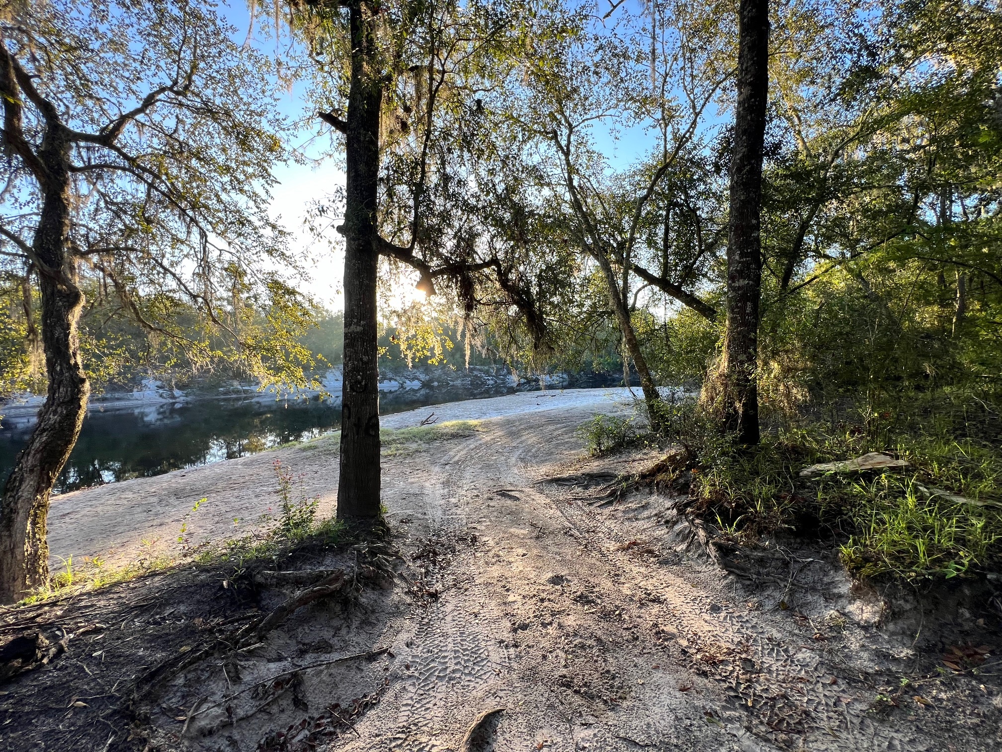 Naylor Park Beach, Alapaha River @ US 84 2024-08-29