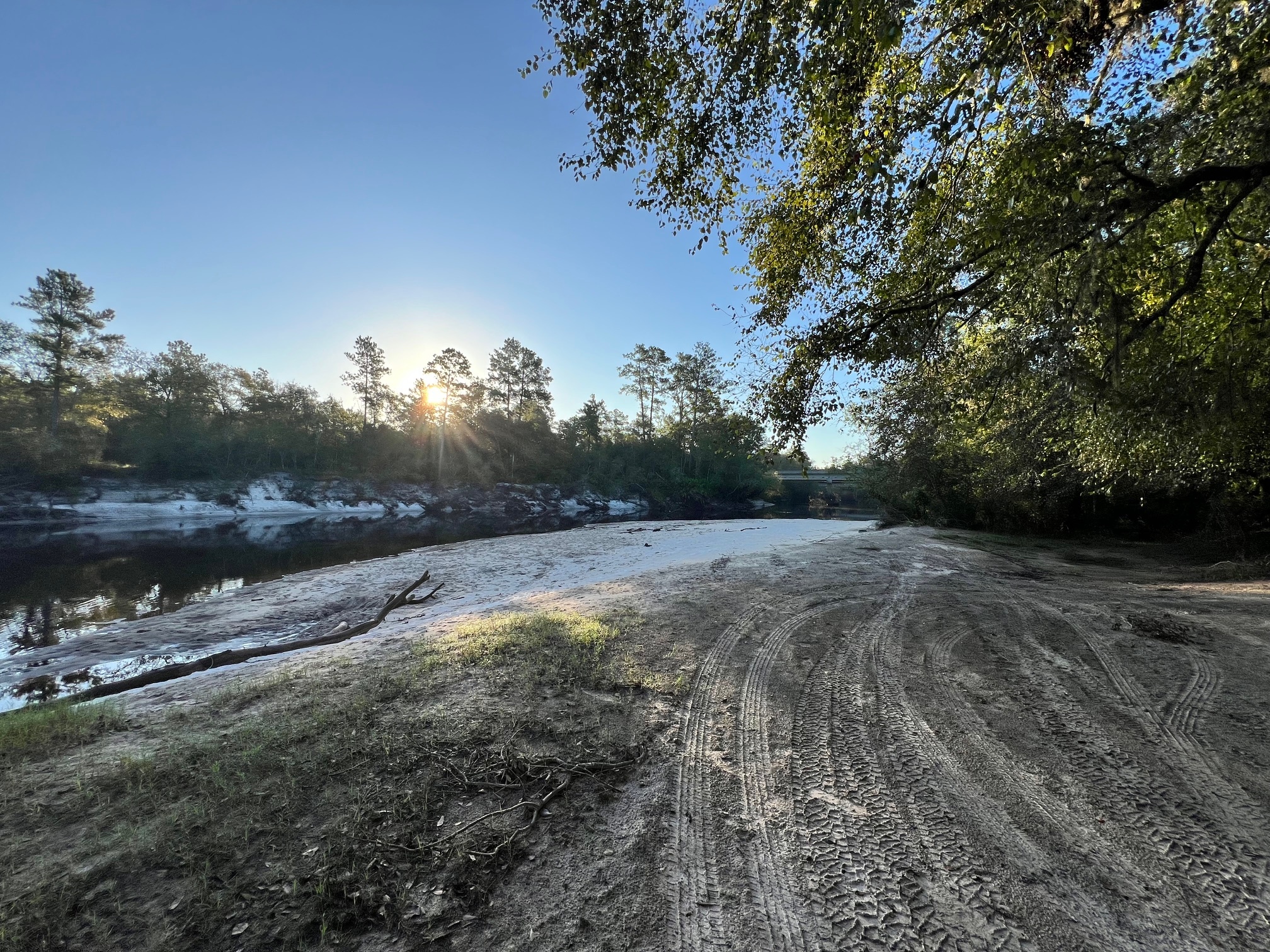 Upstream, Naylor Park Beach, Alapaha River @ US 84 2024-08-29