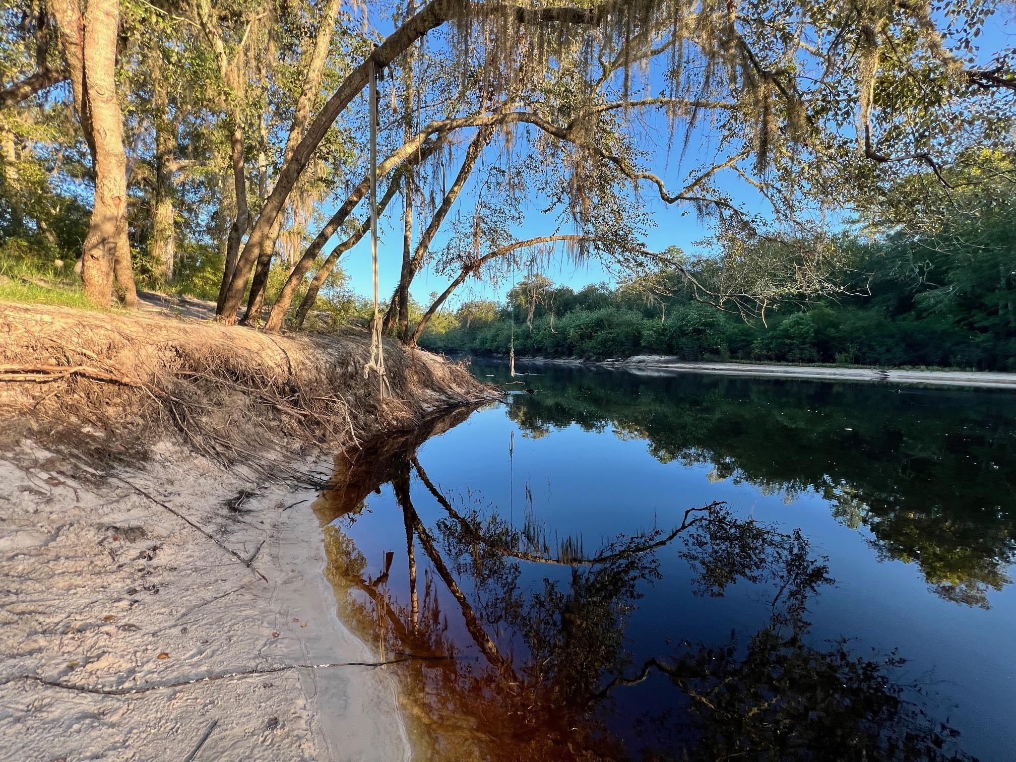 Downstream, Naylor Park Beach, Alapaha River @ US 84 2024-08-29