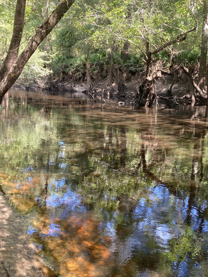 [Downstream, Withlacoochee River @ Frankinville Road 2024-08-29]