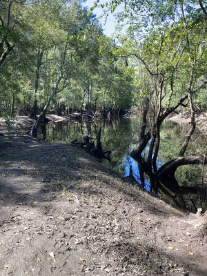 [Downstream, Langdale Park Boat Ramp, Withlacoochee River @ North Valdosta Road 2024-08-29]