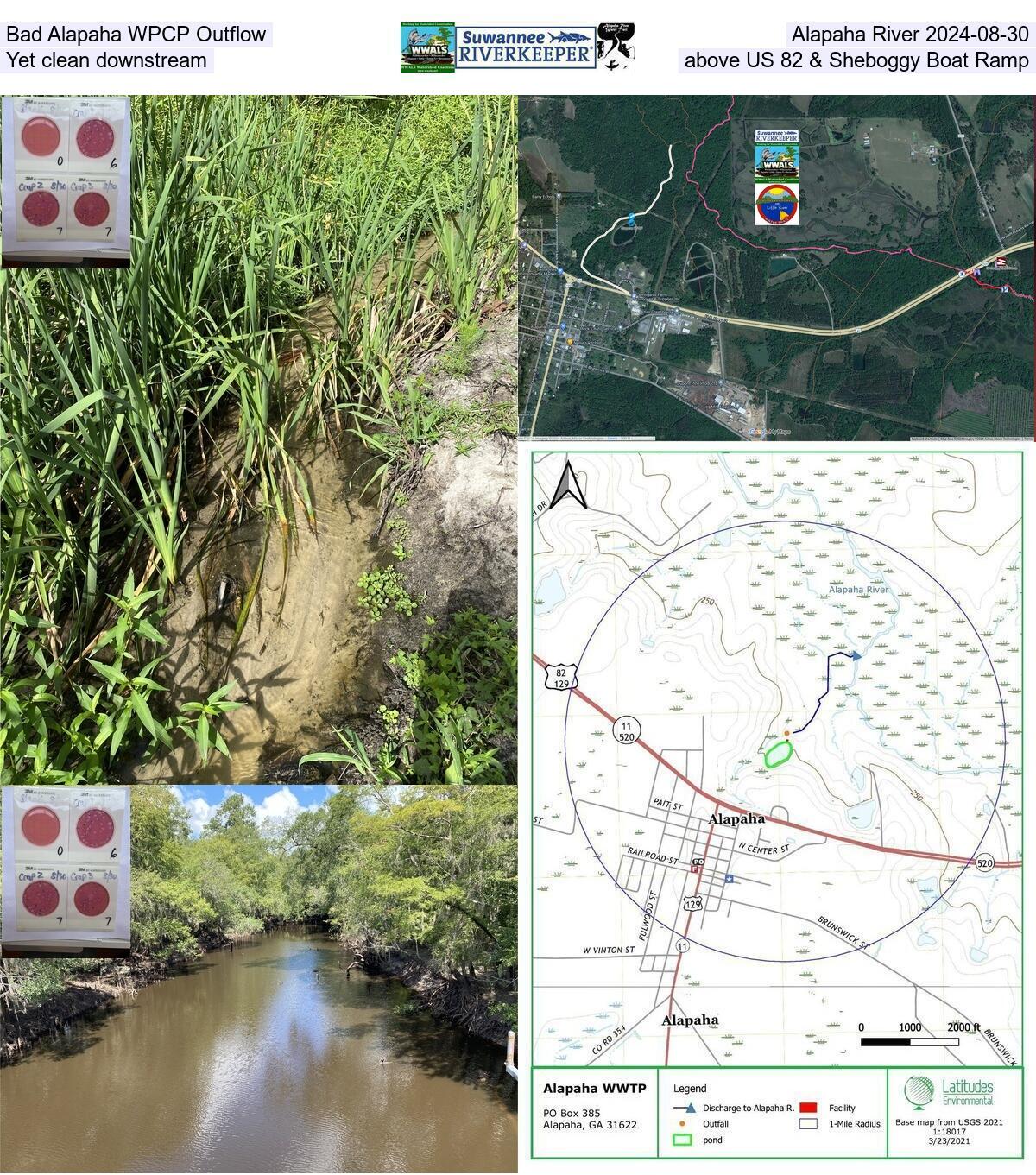 [Bad Alapaha WPCP Outflow, Alapaha River 2024-08-30 Yet clean downstream above US 82 & Sheboggy Boat Ramp]