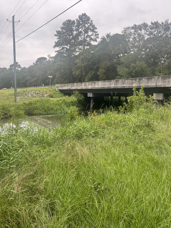 Bridge, Franks Creek @ GA 122, Little River, 2024-09-04, 2024:09:04 17:31:39, 30.9936306, -83.3936472