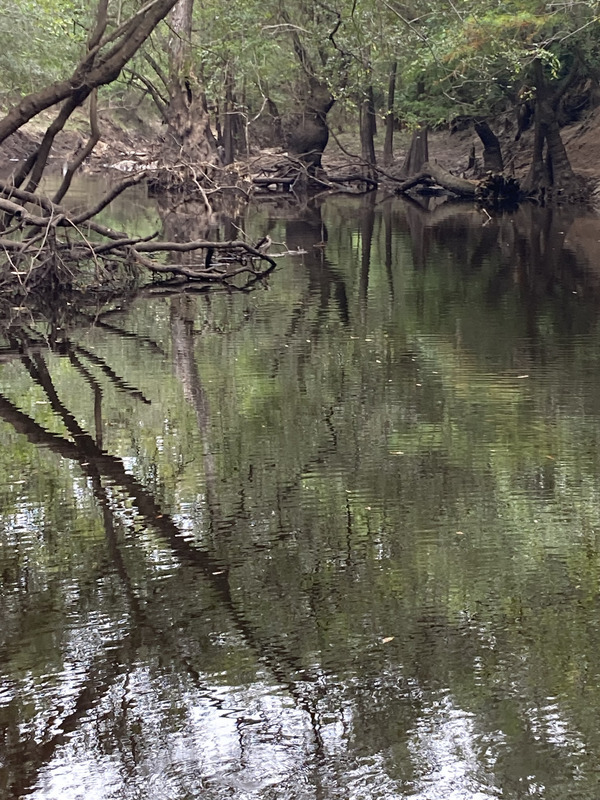 [Langdale Park Boat Ramp, Withlacoochee River @ North Valdosta Road 2024-09-05, 2024:09:05 09:47:19, 30.9279528, -83.2934278]