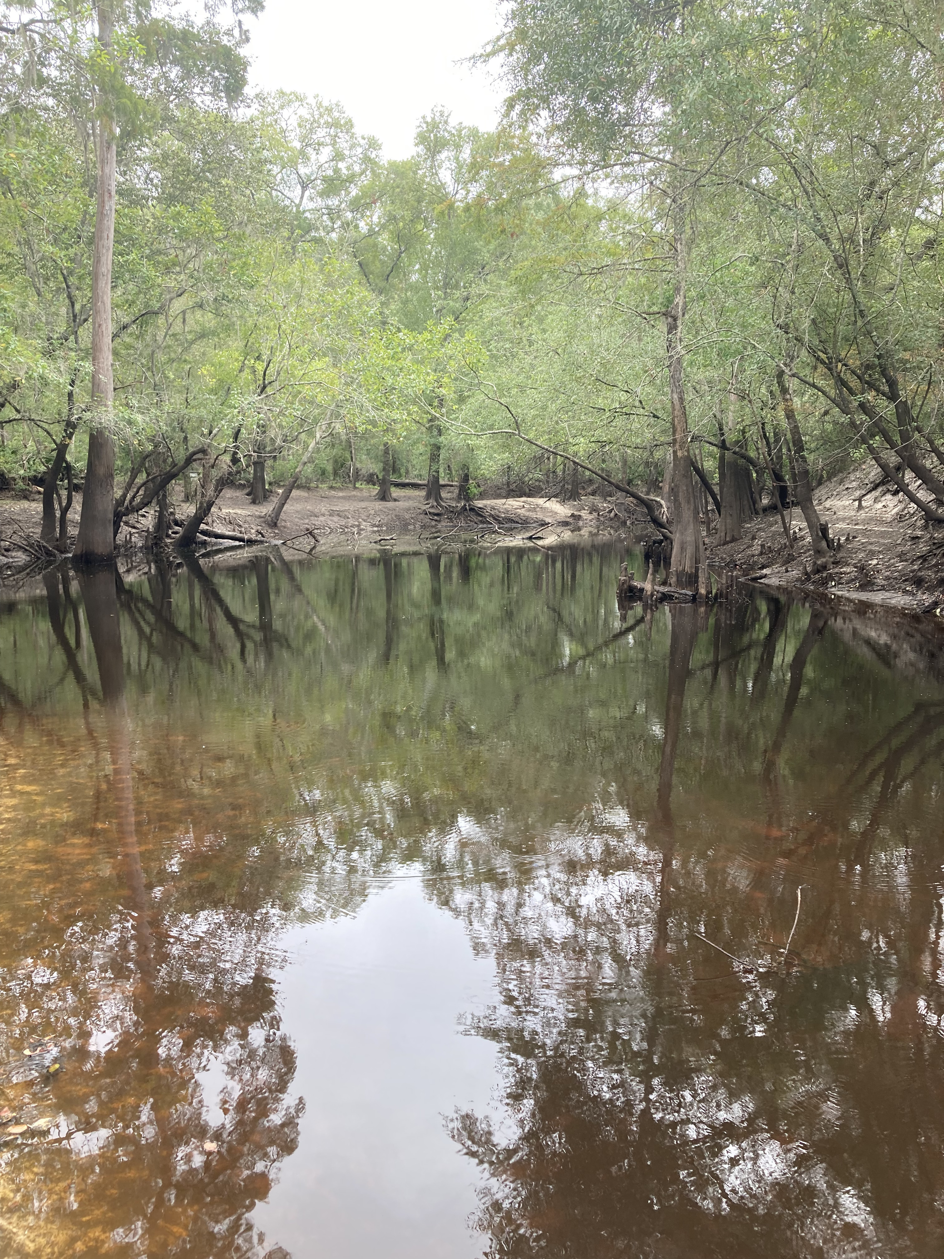 Upstream, Langdale Park Boat Ramp other, Withlacoochee River @ North Valdosta Road 2024-09-05, 2024:09:05 10:29:26, 30.8873472, -83.3240139