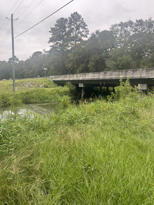 [Bridge, Franks Creek @ GA 122, Little River, 2024-09-04, 2024:09:04 17:31:39, 30.9936306, -83.3936472]