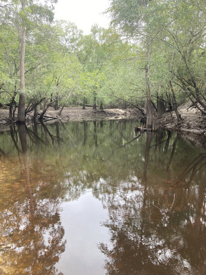 [Upstream, Langdale Park Boat Ramp other, Withlacoochee River @ North Valdosta Road 2024-09-05, 2024:09:05 10:29:26, 30.8873472, -83.3240139]