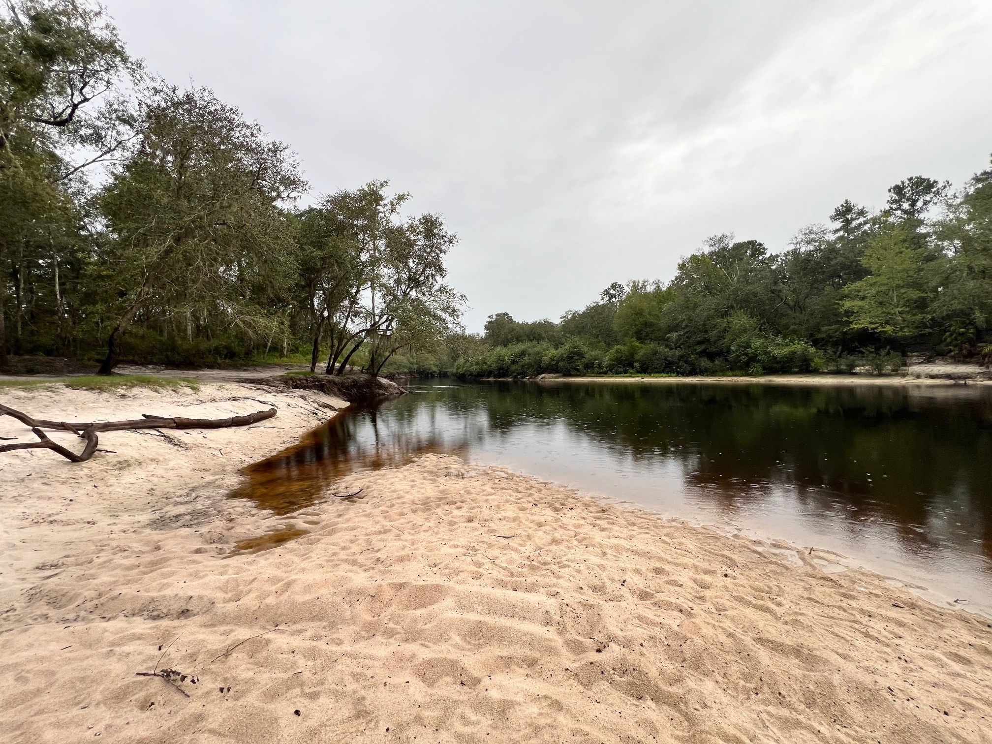 Downstream, Naylor Park Beach, Alapaha River @ US 84 2024-09-12