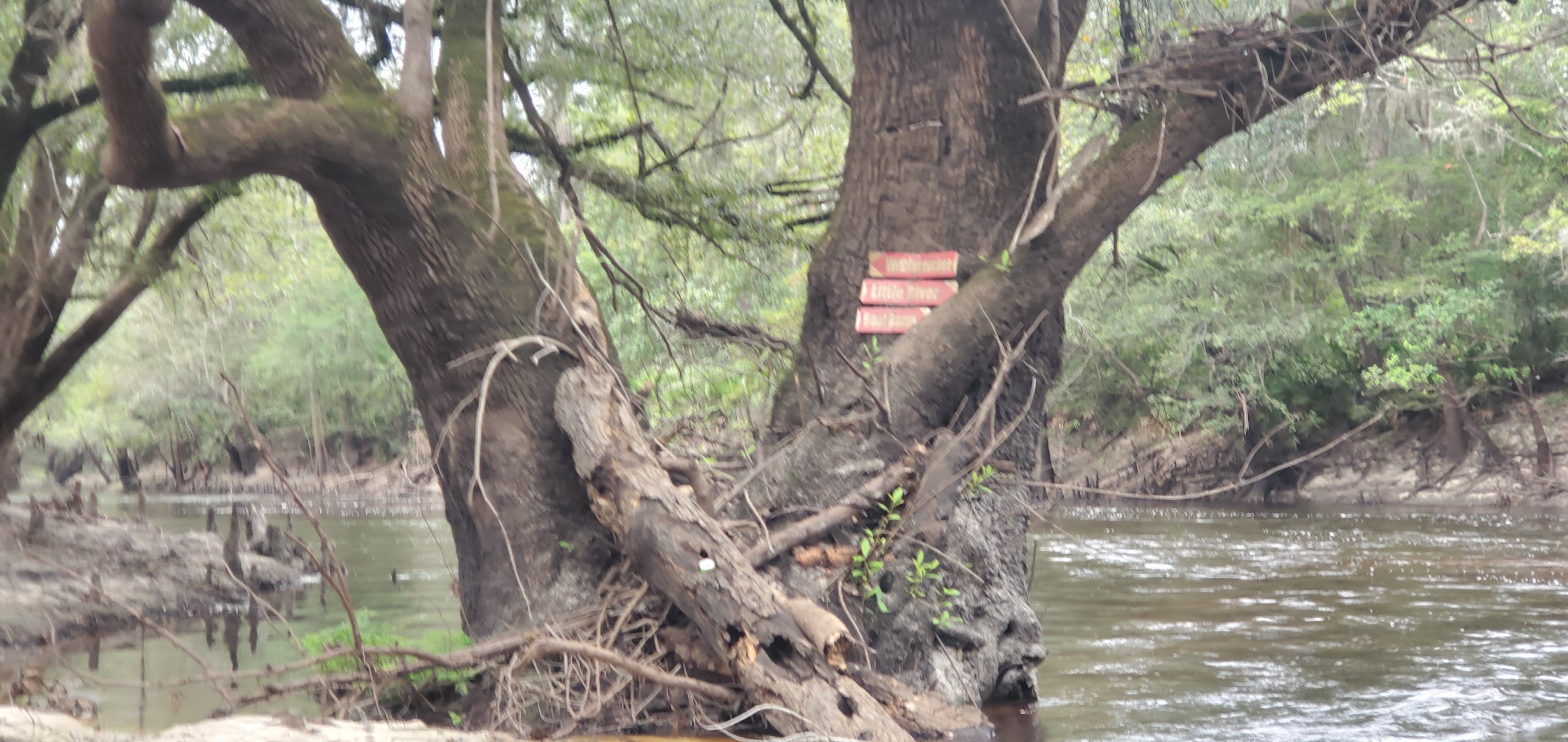 Phil Hubbard's Signs at Little River Confluence, 2024:09:14 10:56:23, 30.8469563, -83.3475830