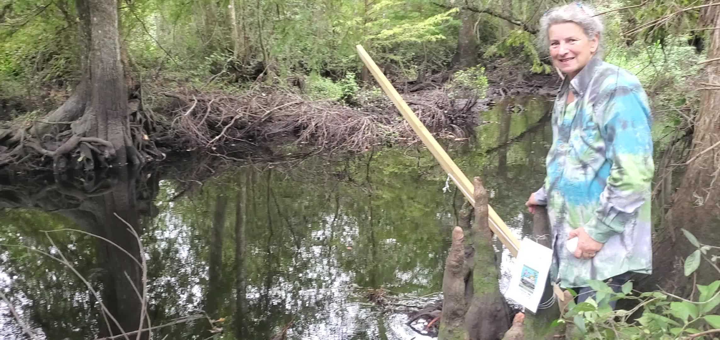 Movie: PFAS Sampler in Mud Creek upstream from Johnson Road Bridge, downstream from Valdosta Mud Creek WTP, 2024:09:15 11:29:56, 30.7961042, -83.2091597 (48M)