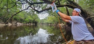 [Hanging PFAS sampler downstream from Spring Branch, 2024:09:14 12:04:07, 30.8284134, -83.3855957]