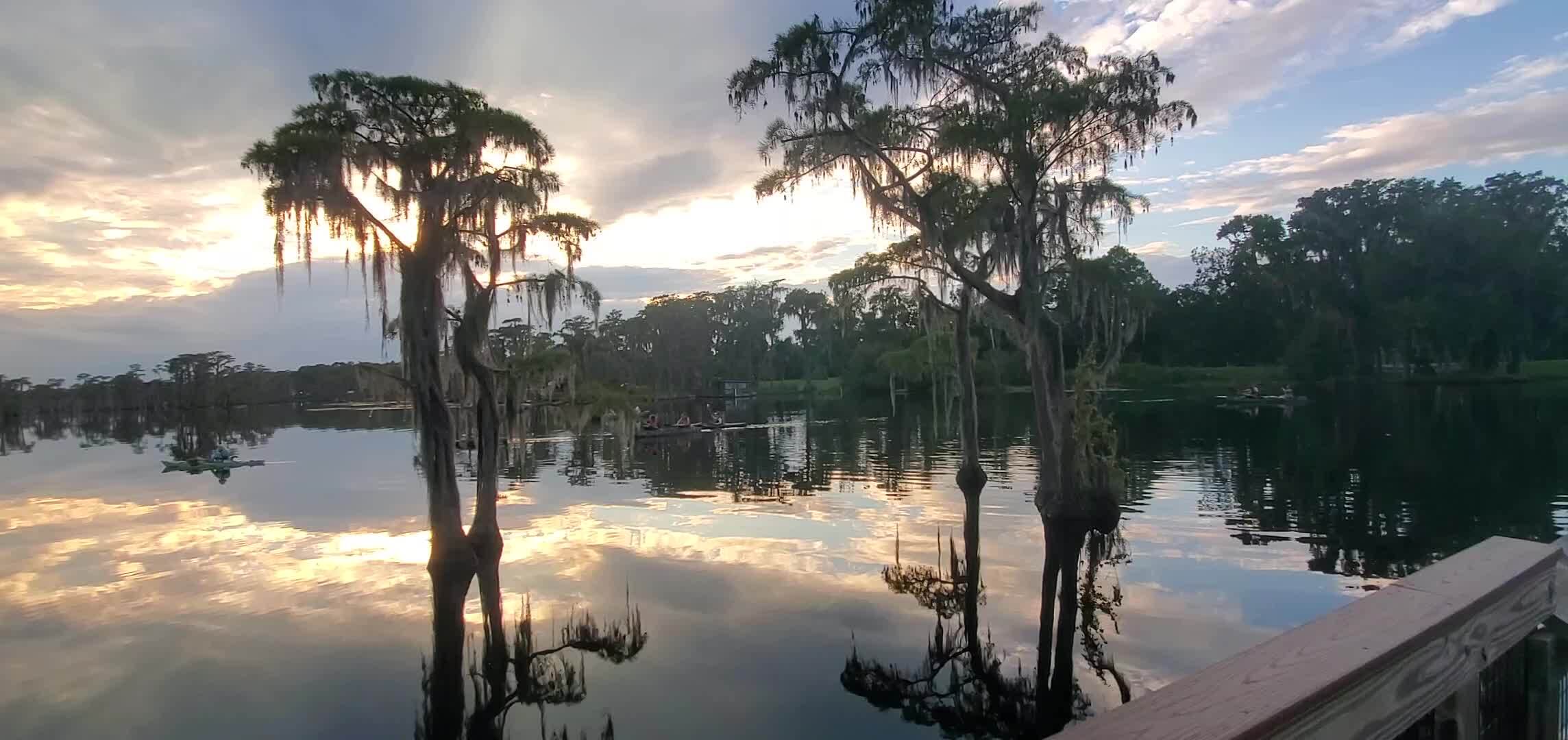 Movie: Shirley paddling below the sunset, with ducklings following along (52M)