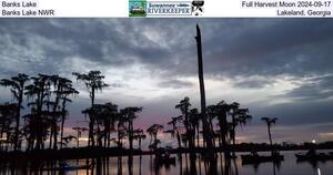 [Banks Lake Full Harvest Moon 2024-09-17, Banks Lake NWR, Lakeland, Georgia]