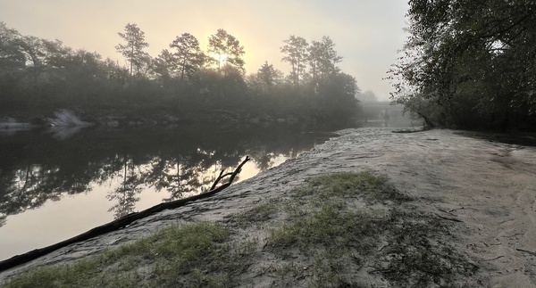 [Naylor Park Beach, Alapaha River @ US 84 2024-09-19]