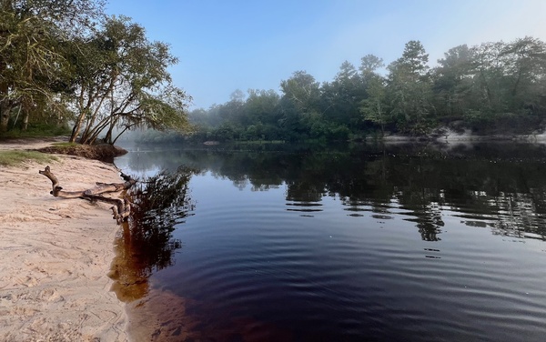 Downstream, Naylor Park Beach, Alapaha River @ US 84 2024-09-19