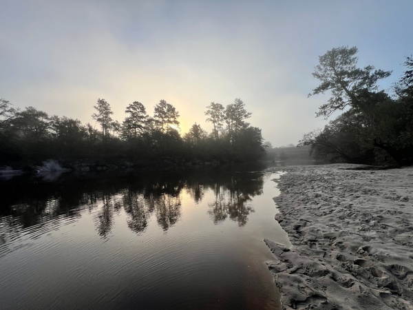 Upstream, Naylor Park Beach, Alapaha River @ US 84 2024-09-19