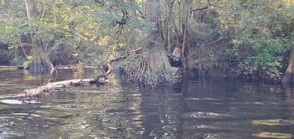 [Cable spool --John S. Quarterman, 10:02:06, 31.2025464, -83.5152539]