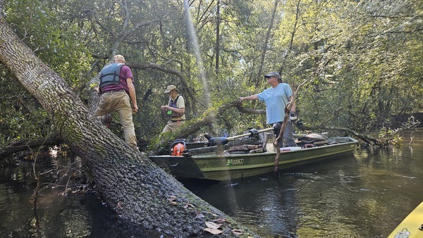 [Tommy on Sumner Deadfall --Darlene Eanes Ray, 10:50:43, 31.2089884, -83.5102171]