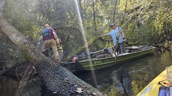 jsq sawing Sumner Deadfall --Darlene Eanes Ray, 10:51:17, 31.2089881, -83.5102170