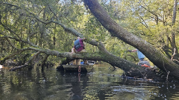 [Tommy holding the boat while jsq saws Sumner Deadfall --Darlene Eanes Ray, 10:53:21, 31.2089944, -83.5102026]