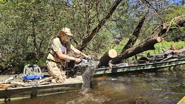 [jsq sawing a limb off Poley Deadfall --Darlene Eanes Ray, 11:33:24, 31.2112496, -83.5109420]