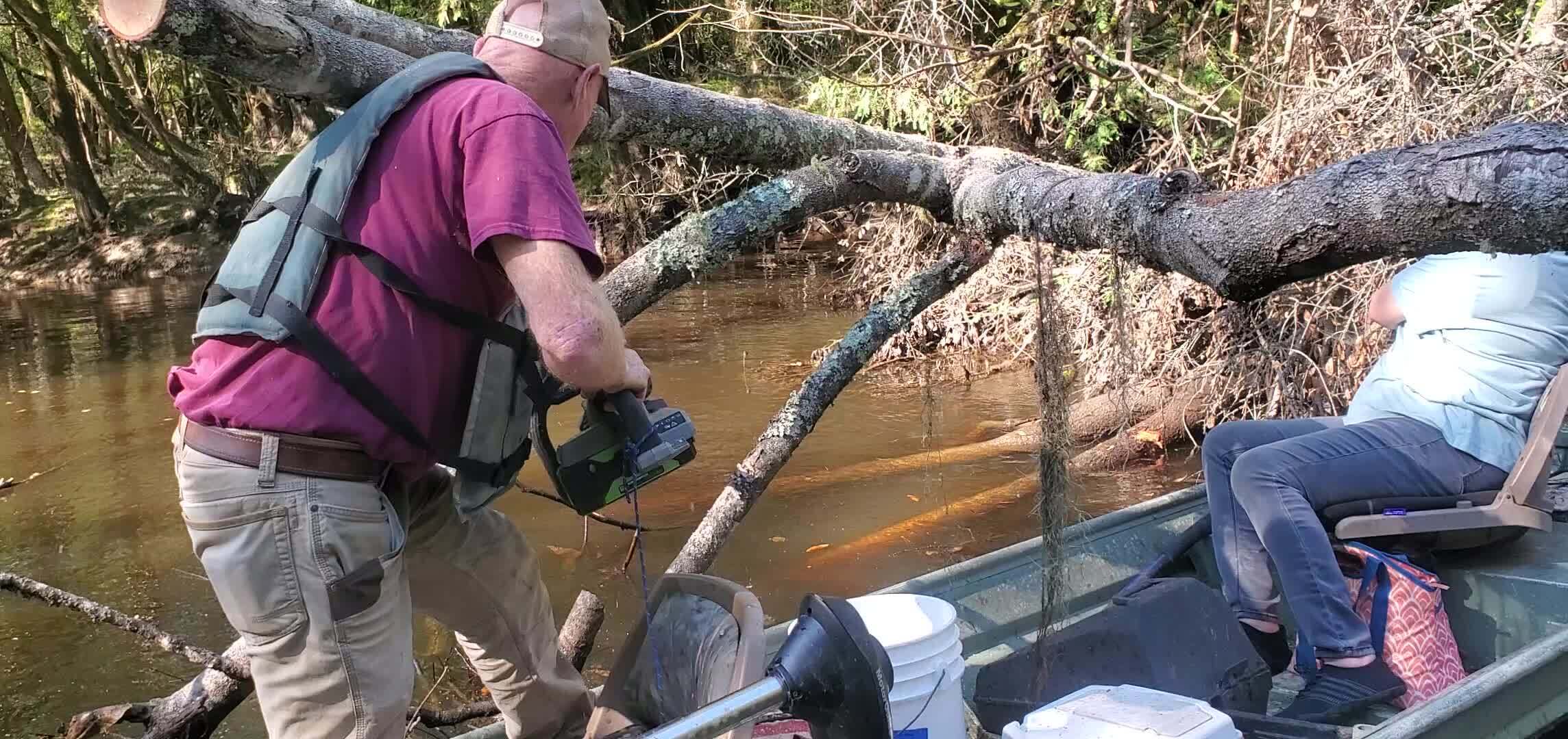 Movie: Tommy sawing with jsq's Ego electric saw --John S. Quarterman, 10:29:49, 31.2073631, -83.5097530 (96M)