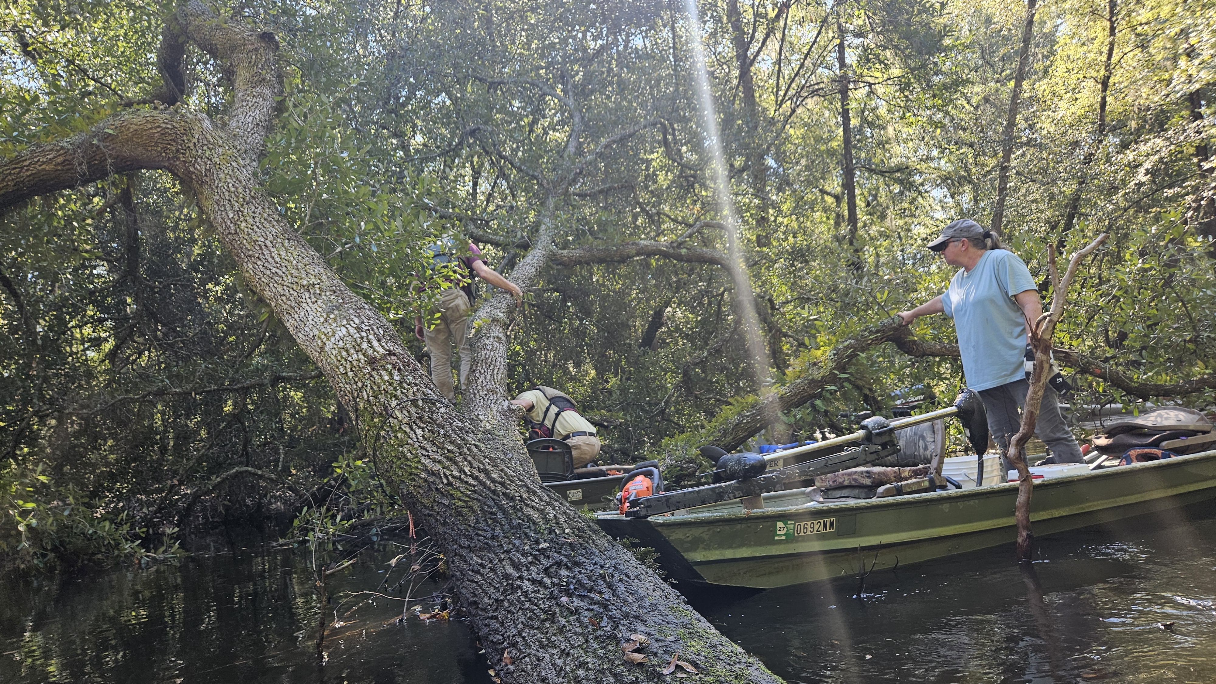 Tommy higher on Sumner Deadfall --Darlene Eanes Ray, 10:52:08, 31.2089875, -83.5102253