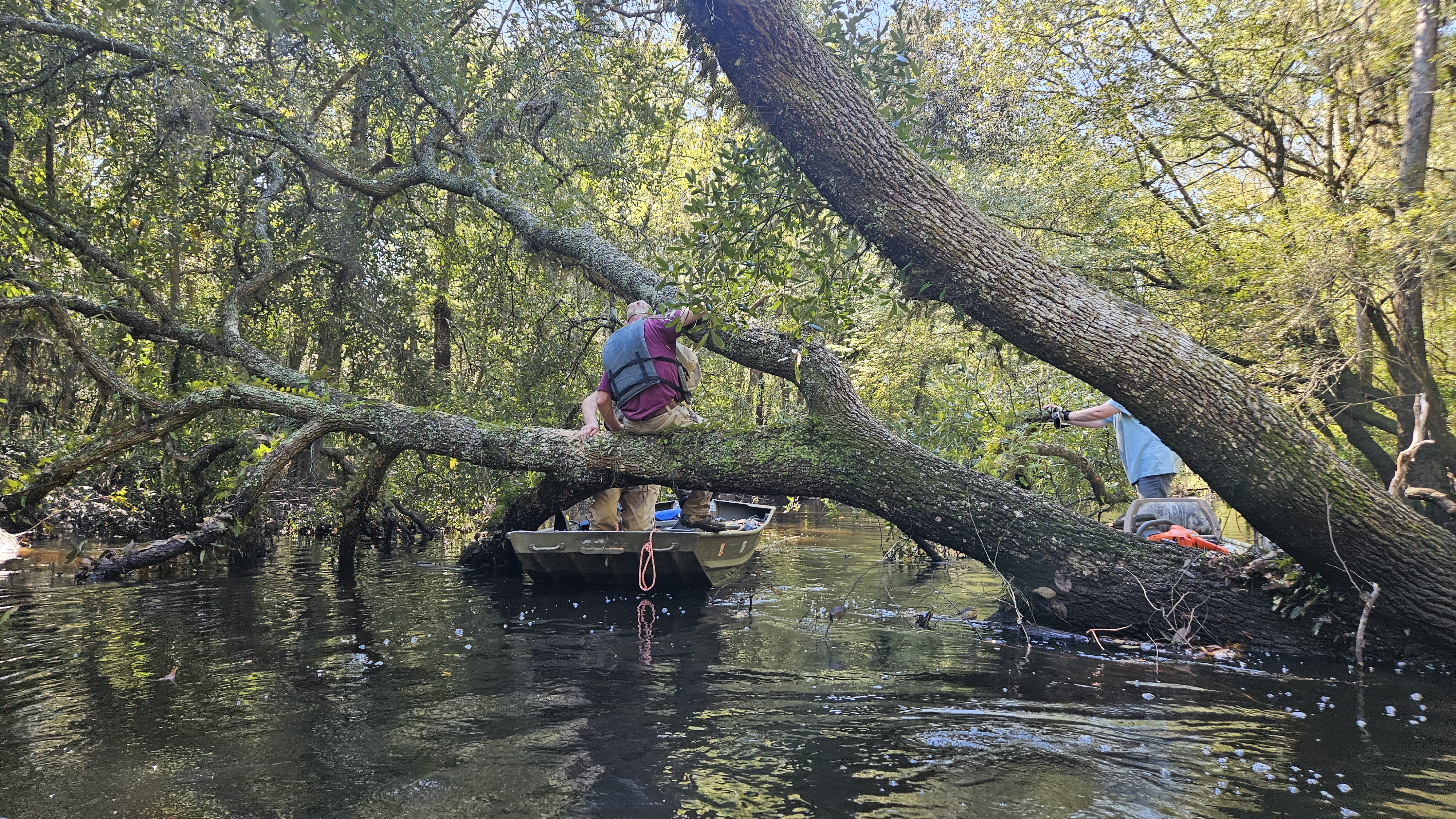 Tommy holding the boat while jsq saws Sumner Deadfall --Darlene Eanes Ray, 10:53:21, 31.2089944, -83.5102026