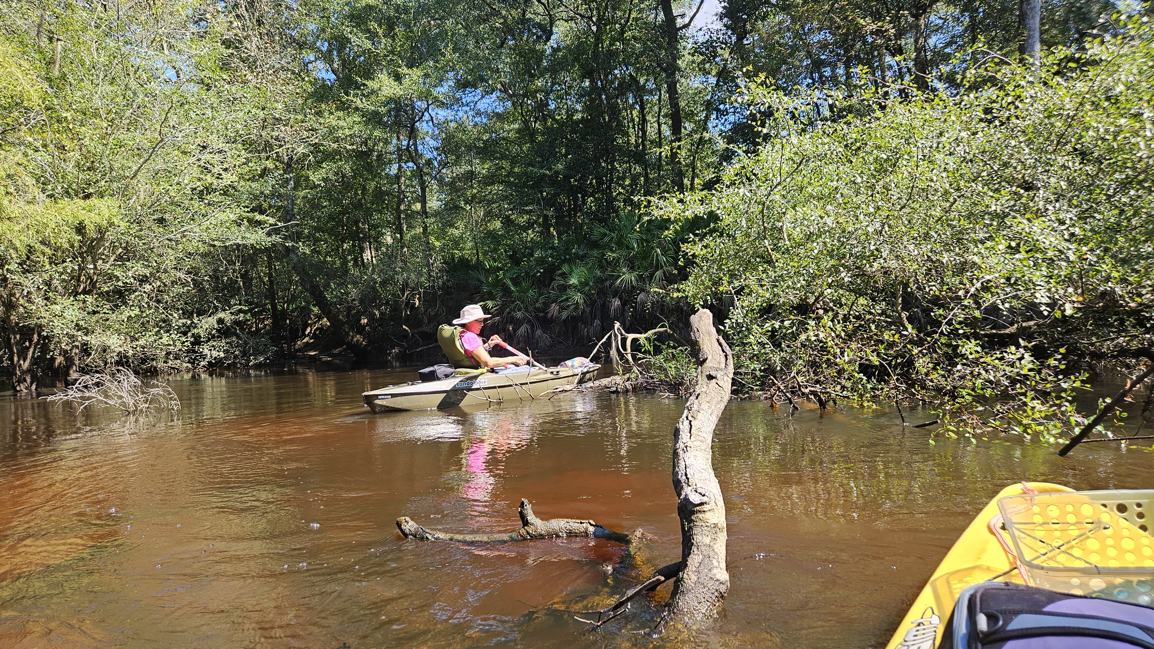 Tish towing limbs --Darlene Eanes Ray, 12:04:49, 31.2122641, -83.5115733