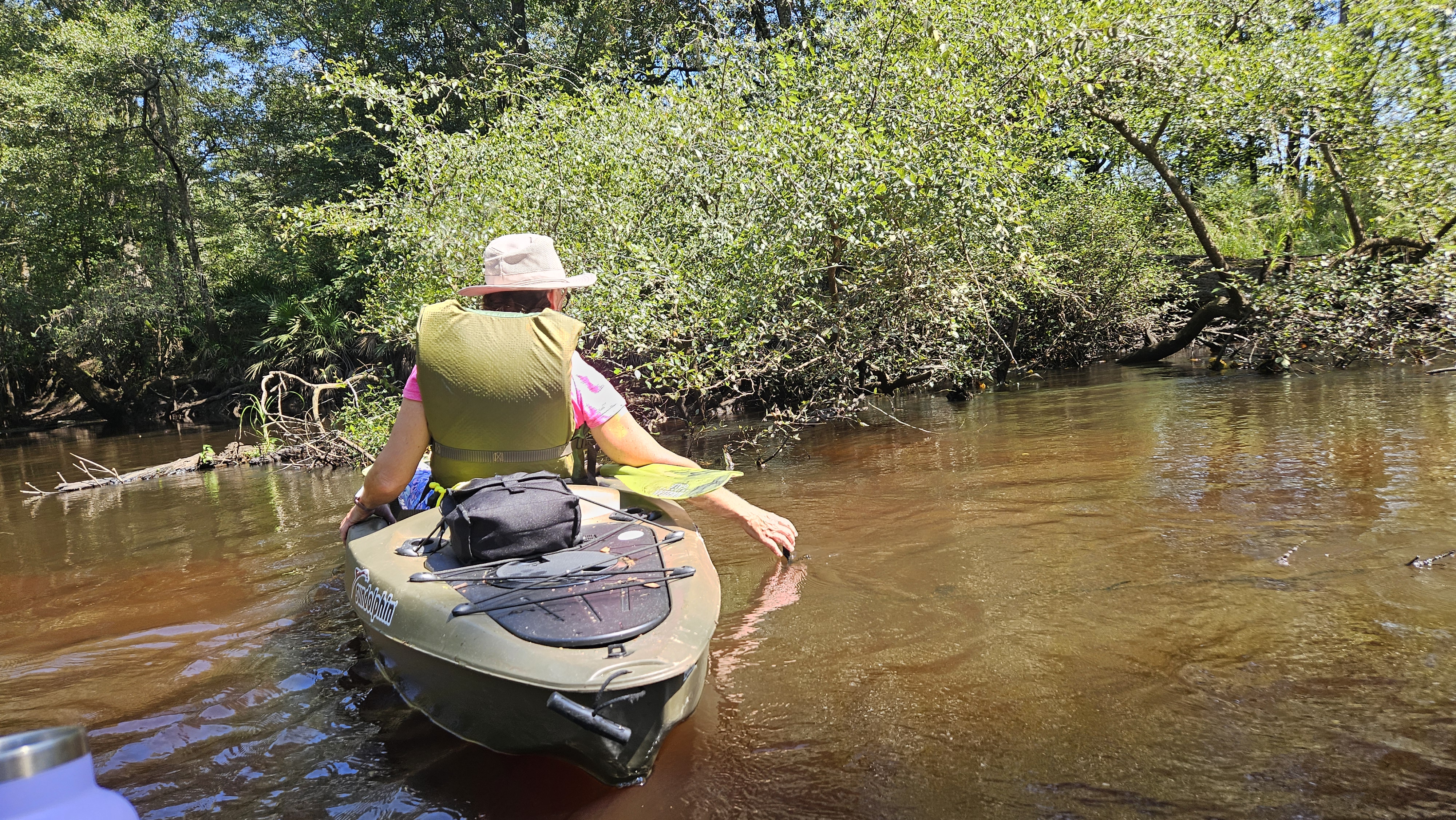 Tish gets a limb --Darlene Eanes Ray, 12:13:29, 31.2122379, -83.5115495