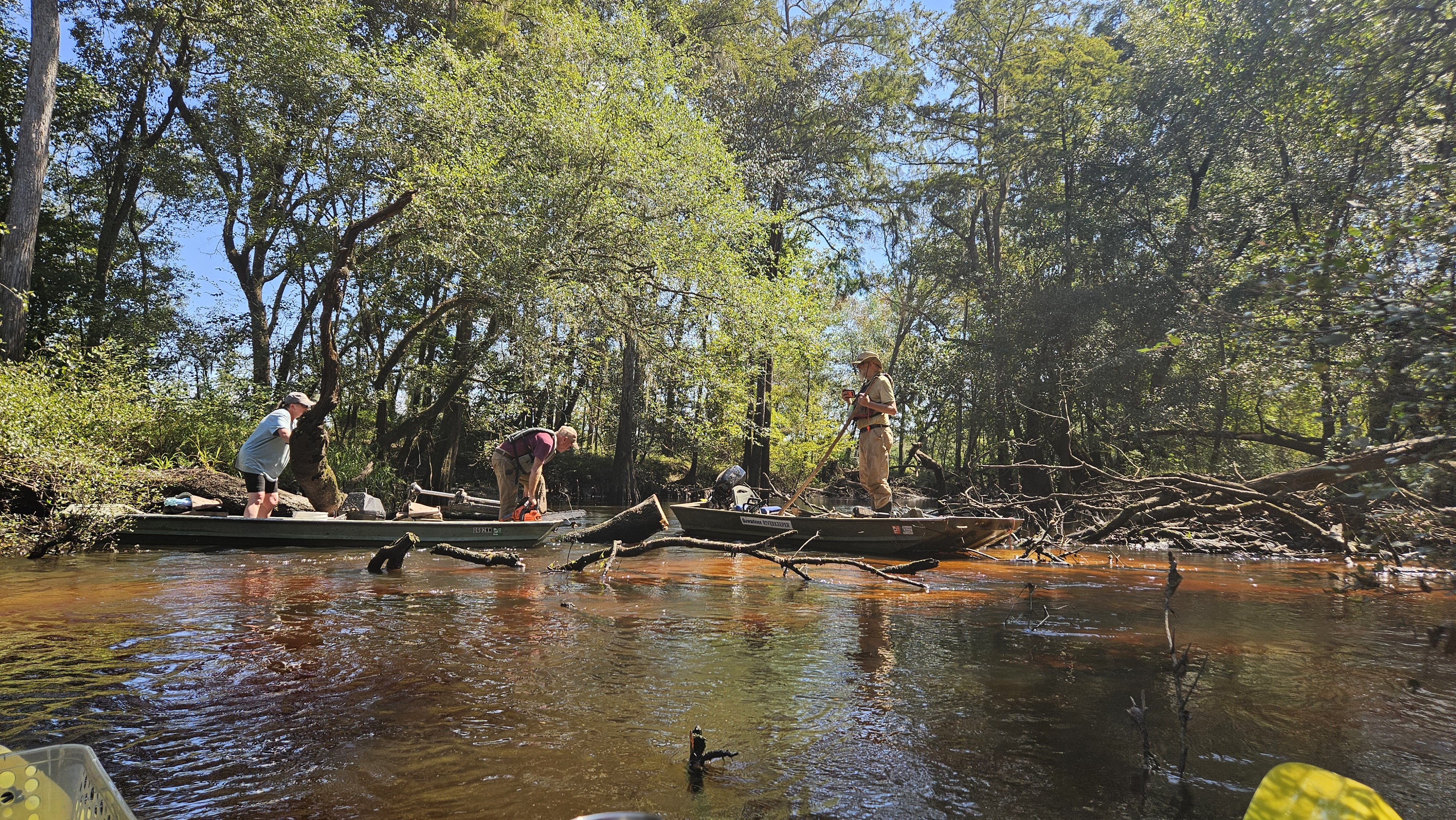 Tommy sawing at the water line --Darlene Eanes Ray, 12:15:19, 31.2121648, -83.5115561