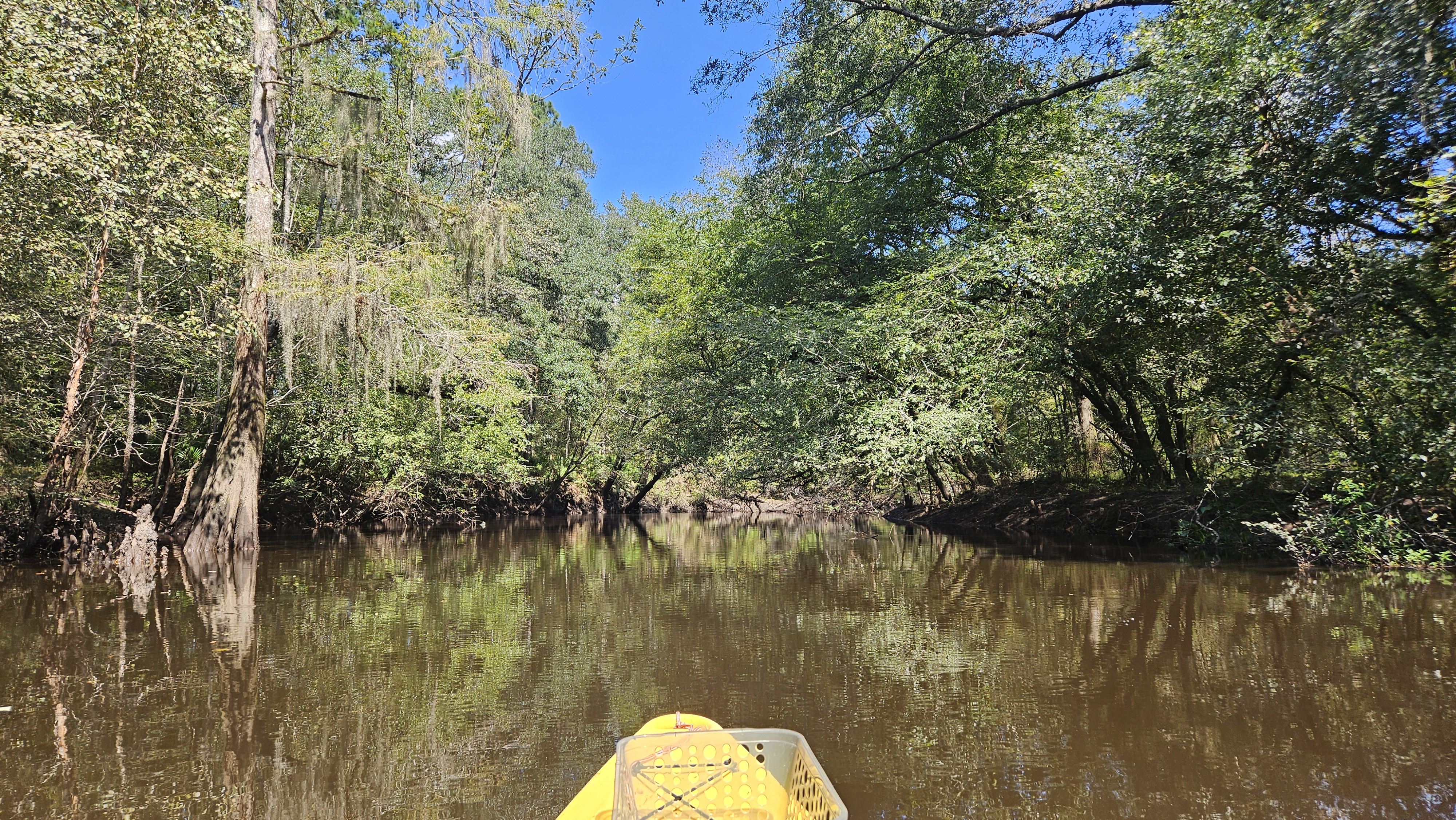 Deceptively clear --Darlene Eanes Ray, 12:30:08, 31.2159708, -83.5125195